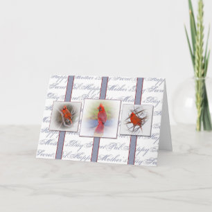 Carte Pal secret de la fête des mères - Cardinaux