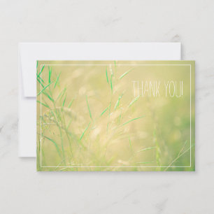 Carte Pale Pastel Couleurs Champ Merci plat