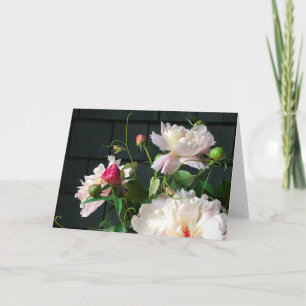 Carte Pale Pink Peonies 2020 by Diane Heller