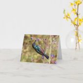 Carte Palestine Sunbird, Poster National de la faune d'o (Fleur jaune)