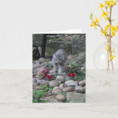 Carte Pallas Cat (Manul) Parmi les fleurs - Salutations (Fleur jaune)