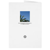 Carte Palm Tree (Dos)