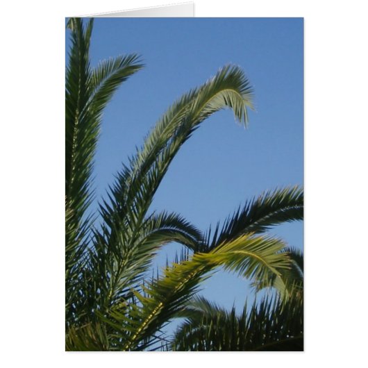 Carte Palm Tree (Devant)