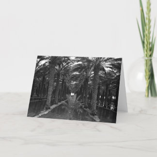 Carte Palmeraie de date pendant l'Irrigation, 1966