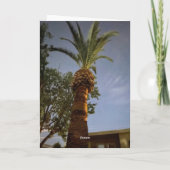 Carte Palmiers 🌴 (Dos)