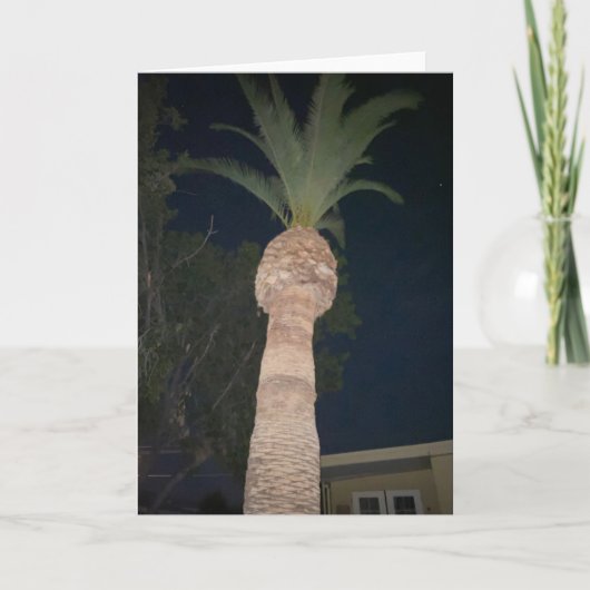 Carte Palmiers 🌴 (Devant)