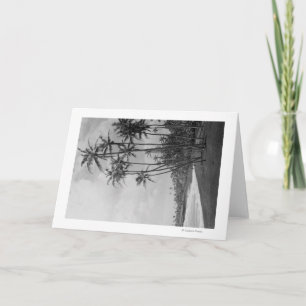 Carte Palmiers à noix de coco - Îles Hawaiiennes Photo