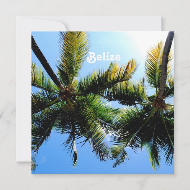 Carte Palmiers de Belize (Devant)