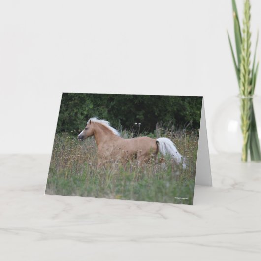 Carte Palomino Gallois Pony Courant En Longue Herbe (Devant)