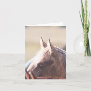 Carte Palomino Gold - 4" x 5,6"