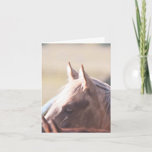 Carte Palomino Gold - 4" x 5.6" Notecard  (Devant)
