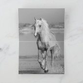 Carte Palomino Stallion Turns Horse Grey Card (Intérieur)