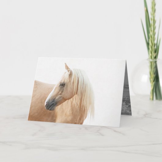 Carte Palomino Stallion Turns Horse Grey Card (Devant)