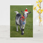Carte Pals de Noël (Fleur jaune)