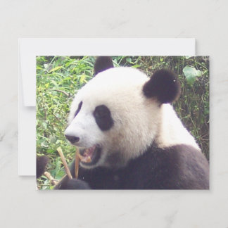 Carte Panda