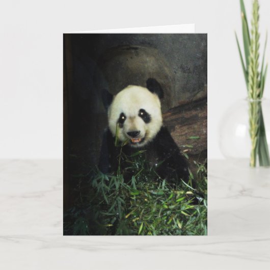 Carte Panda (Devant)