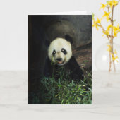 Carte Panda (Fleur jaune)