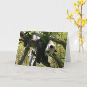 Carte Panda #4 (Fleur jaune)