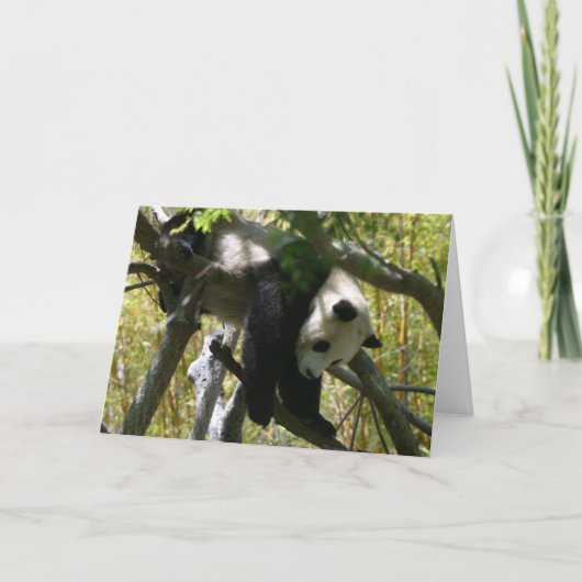 Carte Panda #4 (Devant)