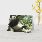 Carte Panda au zoo de San Diego (Fleur jaune)