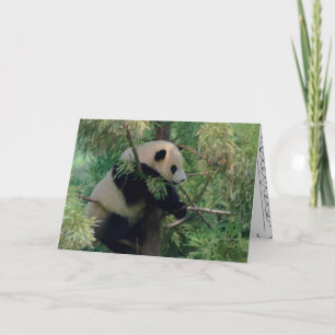 Carte Panda Bear Hugs