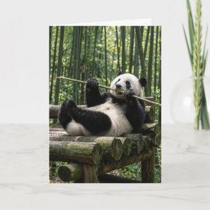Carte Panda d'anniversaire sur une plateforme de bois