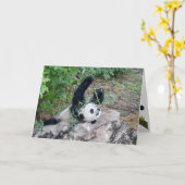 Carte Panda Géant Juste Chillaxin' Greeting Card (Fleur jaune)