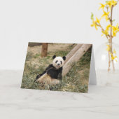 Carte Panda M001 (Fleur jaune)