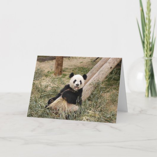 Carte Panda M001 (Devant)