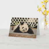 Carte Panda M010 (Fleur jaune)