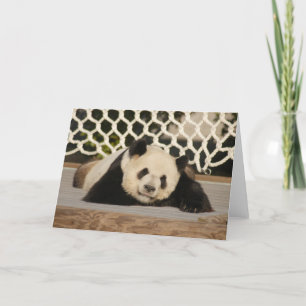 Carte Panda M010