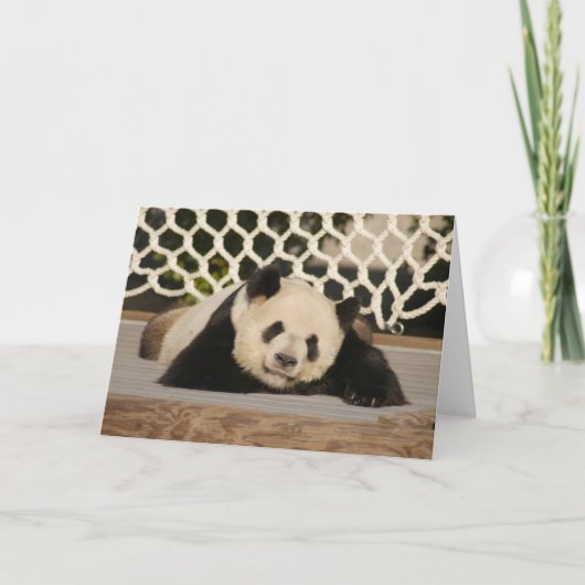 Carte Panda M010 (Devant)