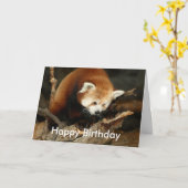 Carte Panda rouge (Fleur jaune)