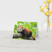 Carte Panda rouge (Fleur jaune)