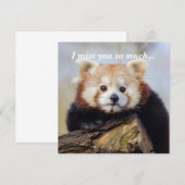 Carte Panda Rouge Mignonne Vous Manque Tellement (Devant / Derrière)
