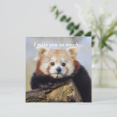 Carte Panda Rouge Mignonne Vous Manque Tellement (Debout devant)