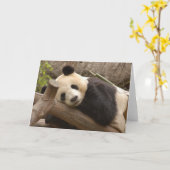 Carte Panda SD010 (Fleur jaune)