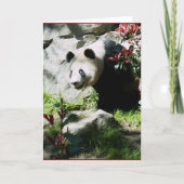 Carte Panda Smile (Devant)