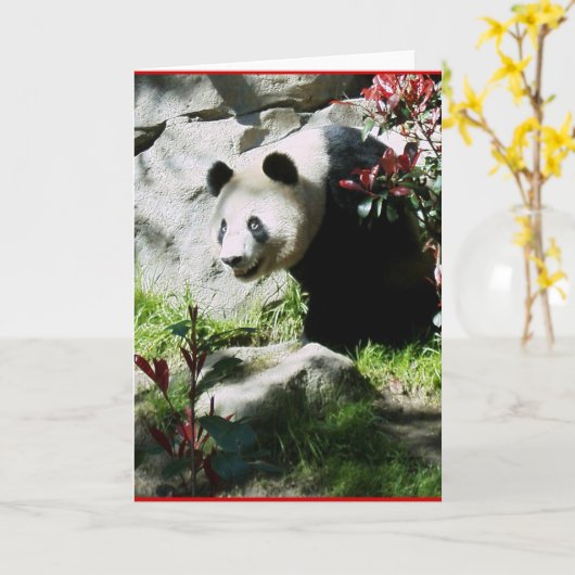 Carte Panda Smile (Fleur jaune)