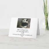 Carte Panda, tu veux déjeuner ? (Dos)