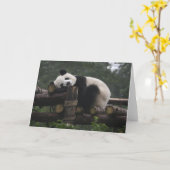Carte Pandas géants au centre de protection des pandas g (Fleur jaune)
