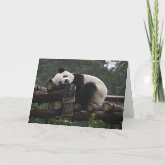 Carte Pandas géants au centre de protection des pandas g (Devant)