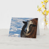 Carte Pandi le mouton (Fleur jaune)