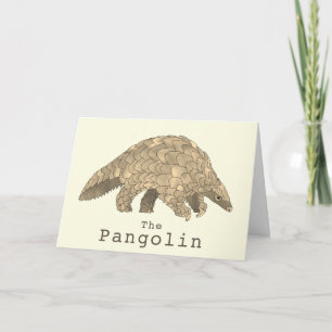 Carte Pangolin Faune Espèce Menacée Animal Art