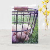 Carte Panier d'oeufs Toutes les occasions Salutation (Fleur jaune)