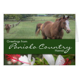 Carte Paniolo Country
