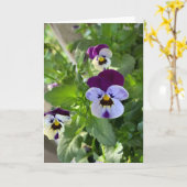 Carte Panneaux bleus blancs (Fleur jaune)
