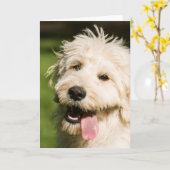 Carte Panneaux de chiot Goldendoodle (Fleur jaune)