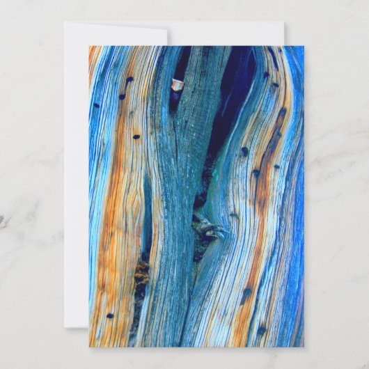 Carte Panneaux patinés à grange bleue (Devant)