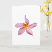 Carte panni rose de frangi (Fleur jaune)